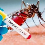 Se notificaron más de 900 casos de dengue durante la última semana