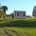Alivio en el INTA: no lograron avanzar con la expropiación de tierras