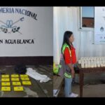 Gendarmería secuestró 41 kilos de cocaína en dos operativos en Orán y Departamento San Martín