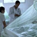 Ya son siete los muertos por dengue en Salta