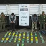 Salta: En un control en la ruta 9 secuestraron más de 60 kilos de cocaína oculta en un camión