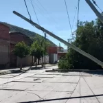 Por los fuertes vientos, cayeron árboles y postes en Salta
