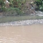 Encontraron a una mujer inconsciente y semidesnuda al costado del Río Arias